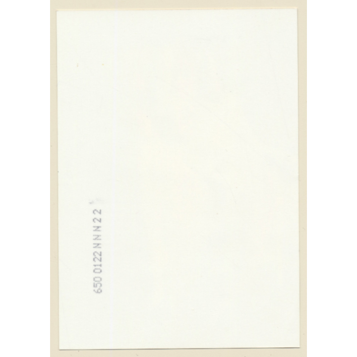 Erotic Study: Brunette Semi Nude On Garden Lounger / White Dress (Vintage Photo ~1990s)