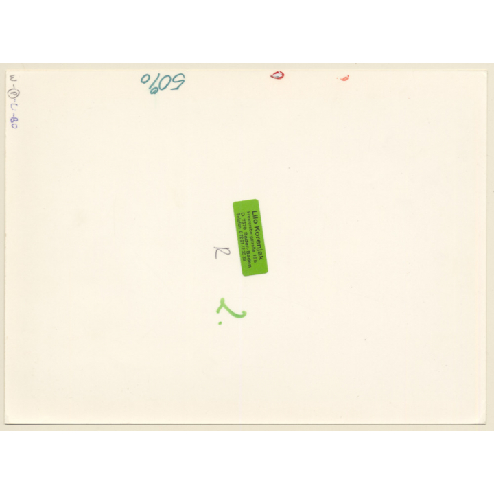 1920s Erotica: Classy Semi Nude In Black Dress / Boudoir (Large Photo Reprint ~ 24 x 18 CM)