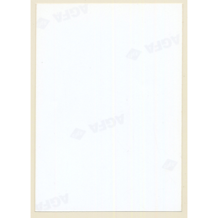 Erotic Study: Natural Busty Nude / Suntan (Vintage Photo ~1990s)