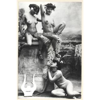 1920s Erotica: 3 Belle Epoque Nudes - Harp / Boudoir (Large Photo Reprint ~ 24 x 16 CM)