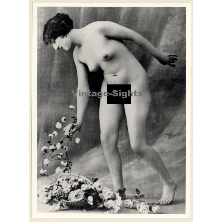 1920s Erotica: Belle Epoque Nude With Roses / Boudoir (Large Photo Reprint ~ 24 x 18 CM)