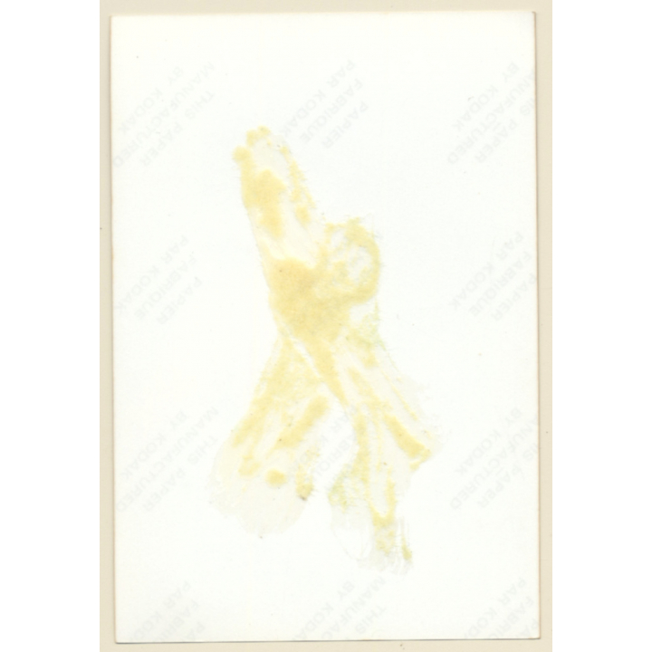 Erotic Study: Happy Topless Redhead / Big Boobs(Vintage Photo ~1980s)