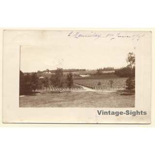 Gironde ?: L'Hermitage / Bordeaux Winery - Wineyard (Vintage RPPC 1909)