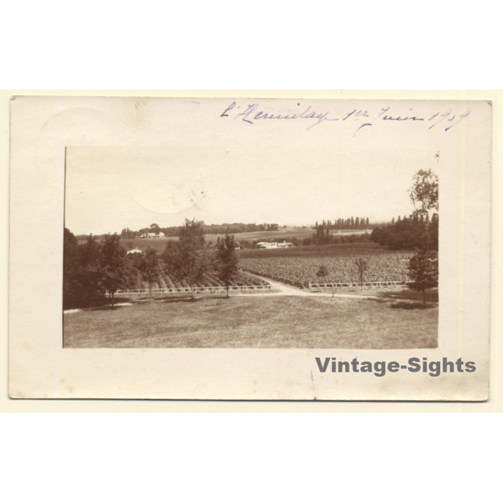 Gironde ?: L'Hermitage / Bordeaux Winery - Wineyard (Vintage RPPC 1909)
