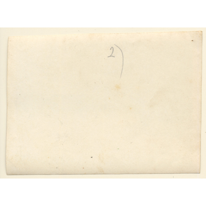 WW1: Memorial Ceremony Battle Of Messines / General Plumer *2 (Rare Vintage Photo ~1917/1918)