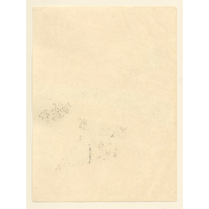 Köln Mülheim / Germany: Hotel Fürstenberger Hof (Vintage Luggage Label ~1950s/1960s)