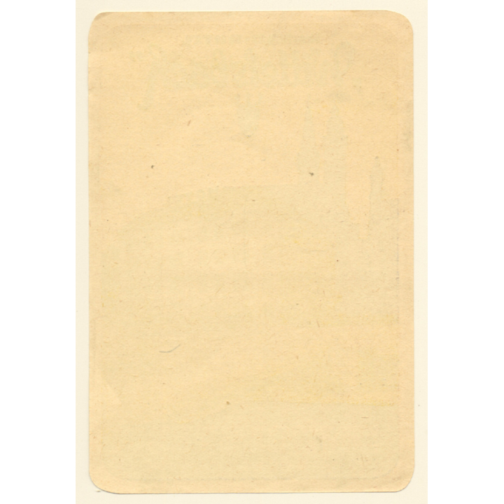 Ingolstadt / Germany: Donau Hotel Wittelsbach (Vintage Luggage Label ~1940s/1950s)