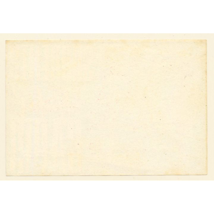 Sorrento / Italy: Hotel Capri (Vintage Luggage Label ~1950s/1960s)