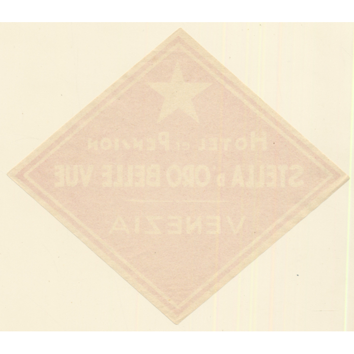 Venice - Venezia / Italy: Hotel et Pension Stella D'Oro Belle Vue (Vintage Luggage Label ~1930s/1940s)