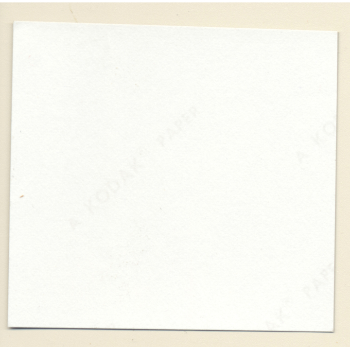 Erotic Study: Pretty Blonde Nude At Swimming Pool *1 (Vintage Contact Sheet 1970s/1980s)