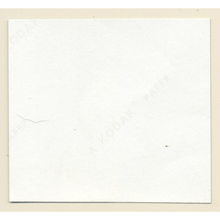 Erotic Study: Pretty Blonde Nude At Swimming Pool *2 (Vintage Contact Sheet 1970s/1980s)