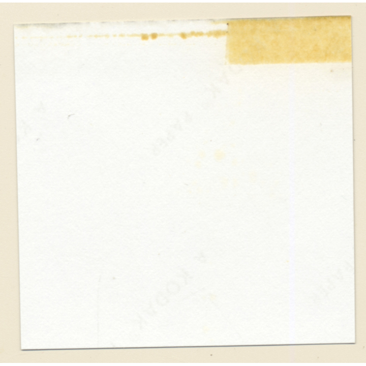 Erotic Study: Pretty Blonde Nude At Swimming Pool *3 (Vintage Contact Sheet 1970s/1980s)