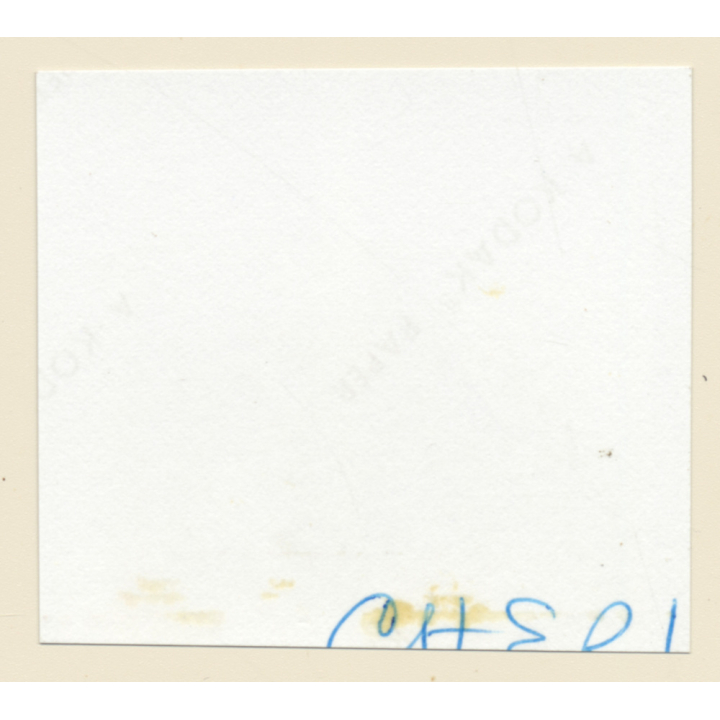 Erotic Study: Pretty Blonde Nude At Swimming Pool *9 (Vintage Contact Sheet 1970s/1980s)