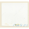 Erotic Study: Pretty Blonde Nude At Swimming Pool *9 (Vintage Contact Sheet 1970s/1980s)