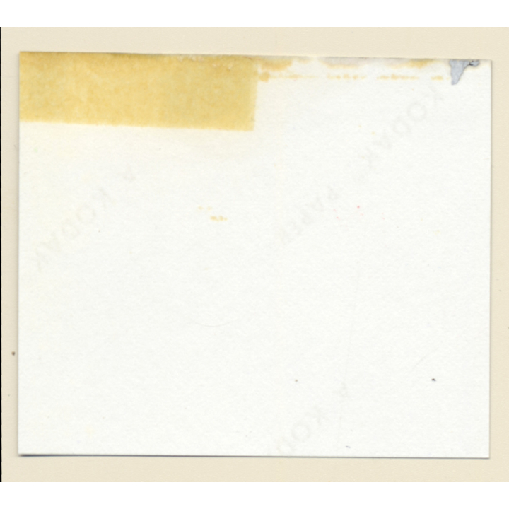 Erotic Study: Pretty Blonde Nude At Swimming Pool *10 (Vintage Contact Sheet 1970s/1980s)