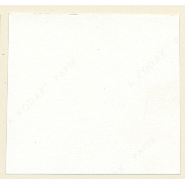 Erotic Study: Pretty Blonde Nude At Swimming Pool *11 (Vintage Contact Sheet 1970s/1980s)