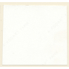 Erotic Study: Pretty Blonde Nude At Swimming Pool *11 (Vintage Contact Sheet 1970s/1980s)