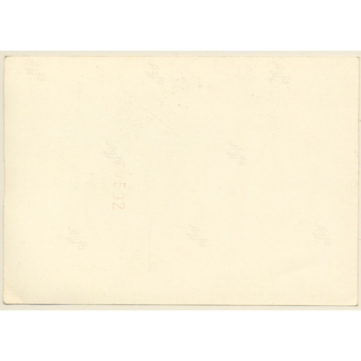 Experimental Art: Light Circles (Vintage Photo ~1940s/1950s)