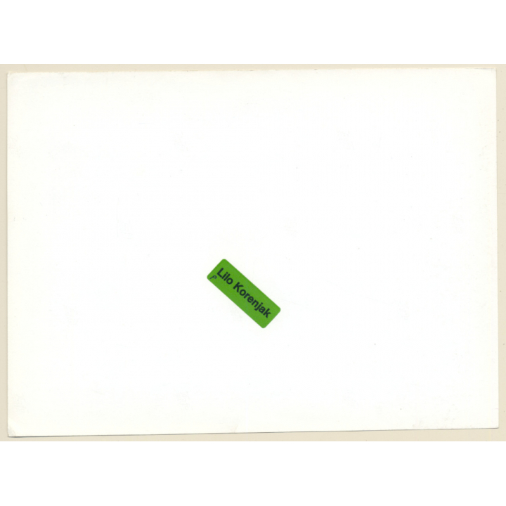 1920s Erotica: 3 Classic Nudes - Lion Statue / Boudoir (Large Photo Reprint ~ 18 x 24 CM)