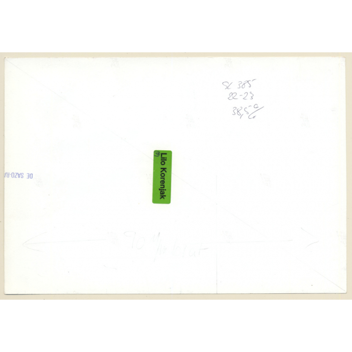 1920s Erotica: Belle Epoque Nude Reclining / Boudoir (Large Photo Reprint ~ 17 x 24 CM)