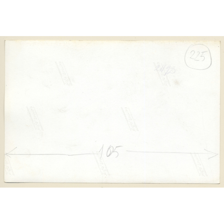 Mallorca: Great Take Of Pine Forest / Tree (Vintage Photo ~1960s)