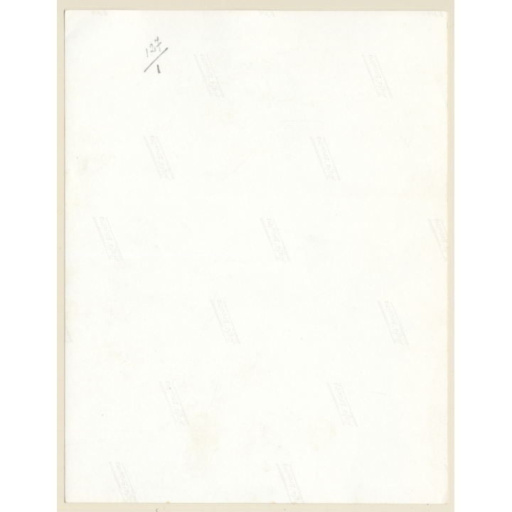 Mallorca: Great Take Of Dead Oak Tree (Vintage Photo ~1960s)