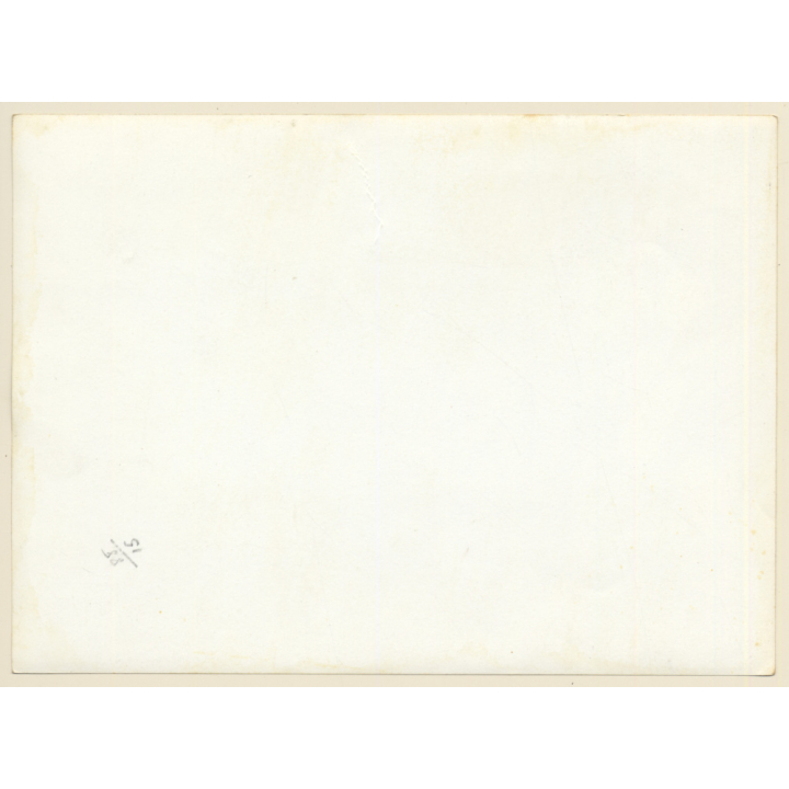 Mallorca: Detail Of Large Prickly Pear Cactus / Feigenkaktus (Vintage Photo ~1960s)