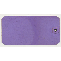 Dollar Steamship Lines / First Class (Vintage Shipping Line Luggae Tag / Label)