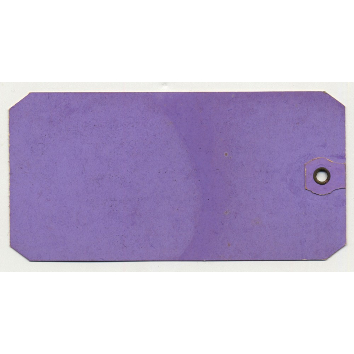 Dollar Steamship Lines / First Class (Vintage Shipping Line Luggae Tag / Label)