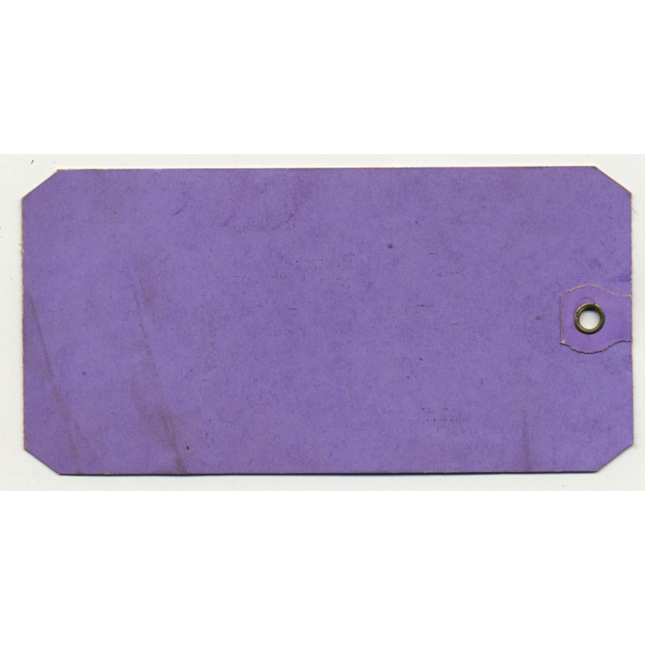 Dollar Steamship Lines / First Class (2) (Vintage Shipping Line Luggae Tag / Label)