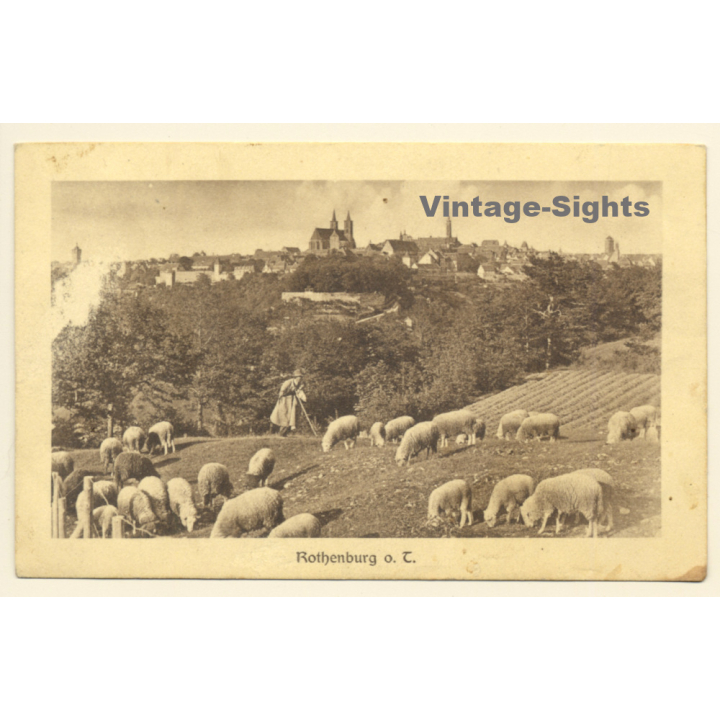 Rothenburg o.d. Tauber: Total View / Sheppard & Sheep (Vintage PC 1910)