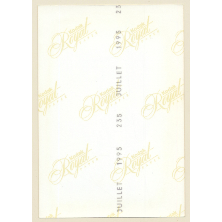 Erotic Study: Rear View Of Dark-Skinned Nude Putting On Panties (Vintage Photo France ~1990s)