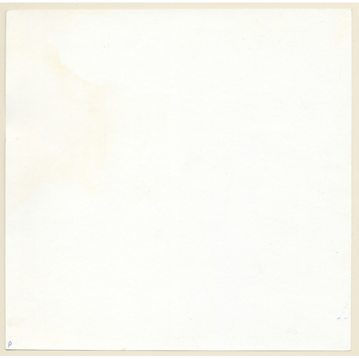 Erotic Couple Study: Passionate Kiss On Sheepskin / Boobs (Large Vintage Photo KORENJAK 1970s/1980s)