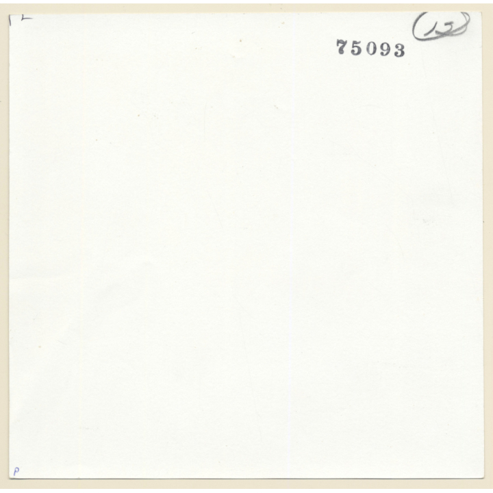 Erotic Couple Study: Dressed Man Grabs Dark-Skinned Womans' Boobs From Behind (Large Vintage Photo KORENJAK 1970s/1980s)