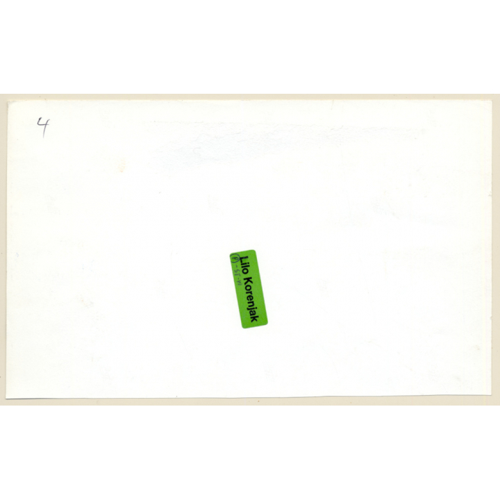 1920s Erotica: Rear View Of Stunning Reclining Nude / Boudoir (Large Photo Reprint ~ 15x24CM)