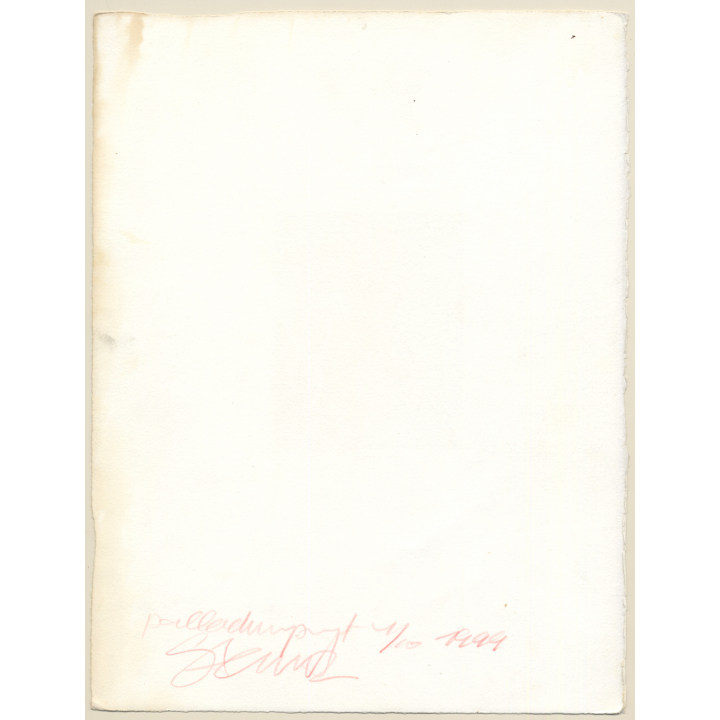 Paul Steinitz (1968): Erotic Photo Art *1 Lim.Ed. 1/10 (Vintage Platinum Palladium Print 1999)