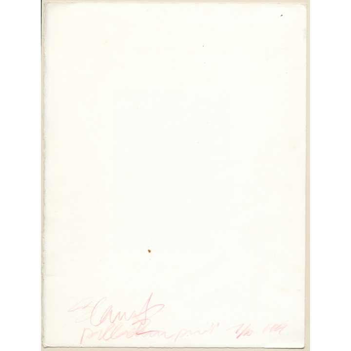 Paul Steinitz (1968): Erotic Photo Art *2 Lim.Ed. 1/10 (Vintage Platinum Palladium Print 1999)