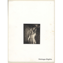 Paul Steinitz (1968): Erotic Photo Art *3 Lim.Ed. 1/10 (Vintage Platinum Palladium Print 1999)