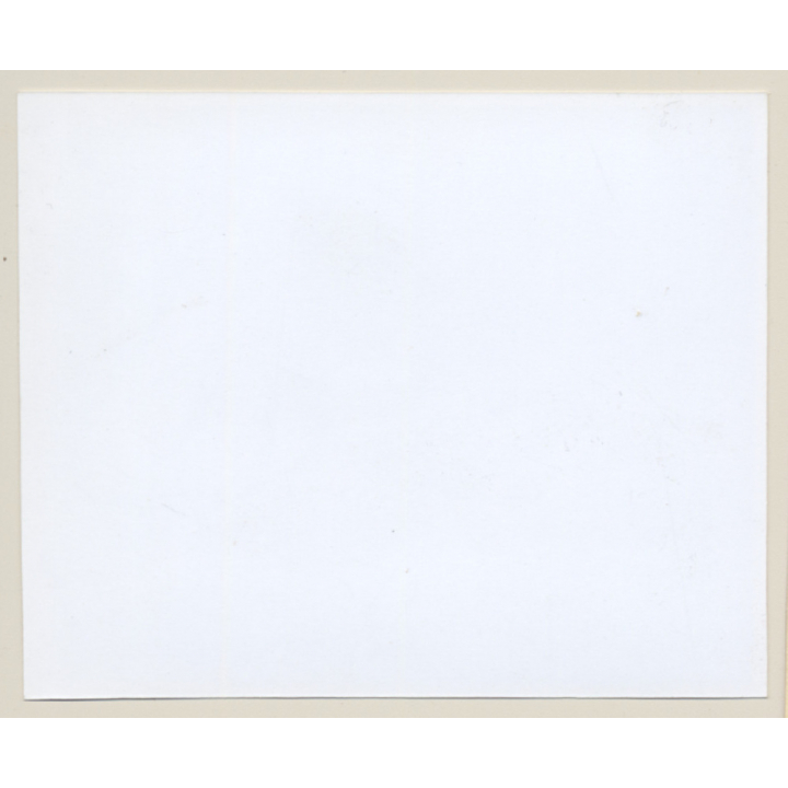 Irving Klaw: Betty Page In Rope Bondage E-833 / Pin-Up - BDSM (Vintage Photo USA)