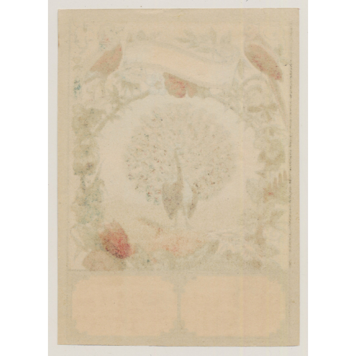 Peacock, Birds & Flowers / Art Nouveau (Vintage Chromo Litho Label ~1910/1920s)
