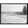 6th World Scout Jamboree 1947 / Moisson: Train With Scouts (Vintage Glass Plate Negative)