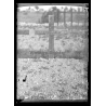 France: Wooden Cross - Grave Of Friederike Pinkernelle (Vintage Glass Plate Negative 1947)