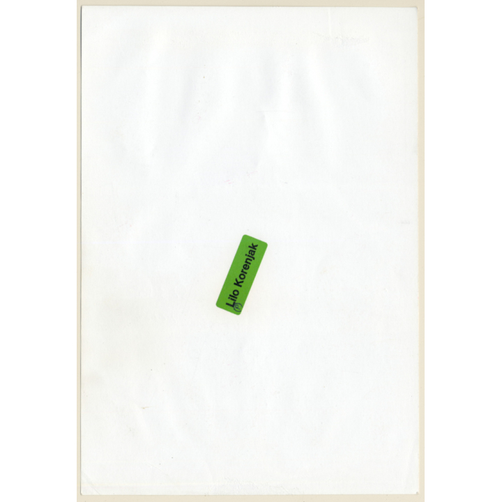 1920s Erotica: Classic Nude In Front Of Bench / Risqué (Large Photo Reprint ~24 x 17CM)