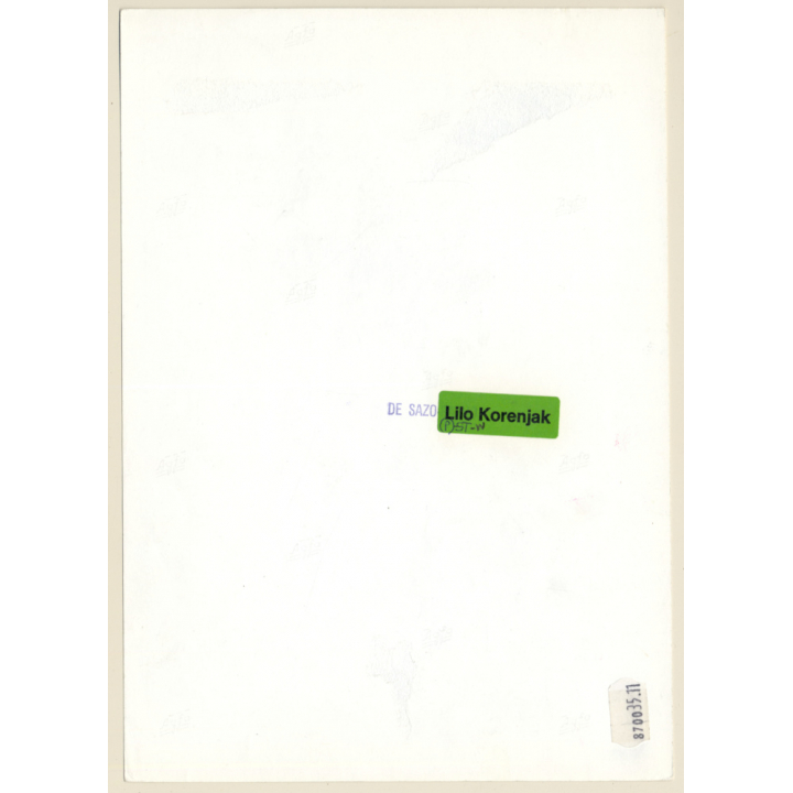 1920s Erotica: Pretty Nude With Bob Sitting / Boudoir (Large Photo Reprint ~ 24x17 CM)