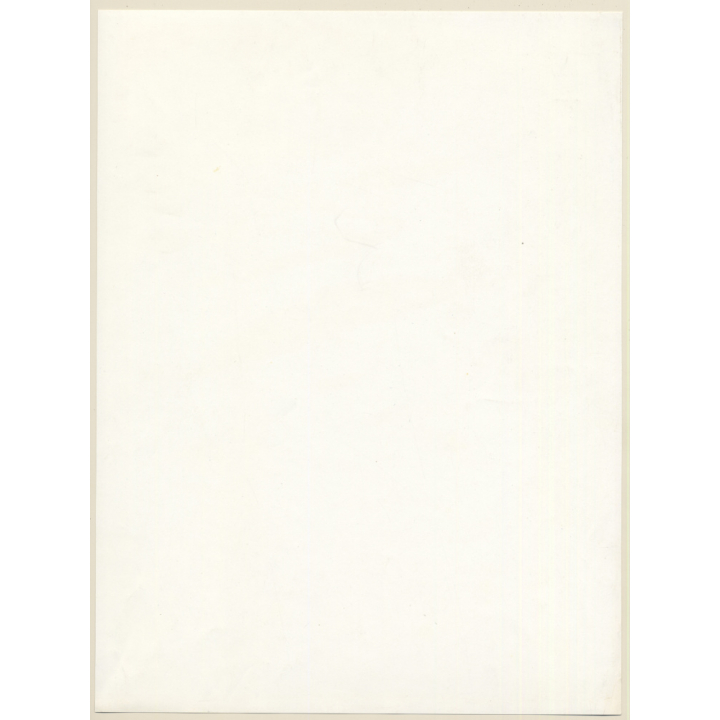 Erotic Study by Pjotr Van Moock: Dark-Skinned Beauty Behind Plastic Foil (Vintage XL Photo 39 x 29 CM 1980s)