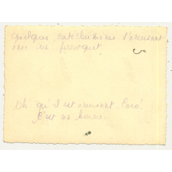 Group Of Congolesian Teenagers With Parrot / Belgian Congo (Vintage RPPC B/W ~1940s)