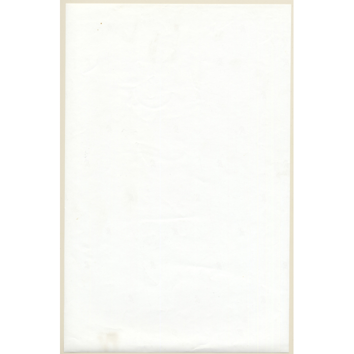 Erotic Study by Pjotr Van Moock: Slim Nude Under Lampshade (Vintage XL Photo 42 x 27 CM 1980s)