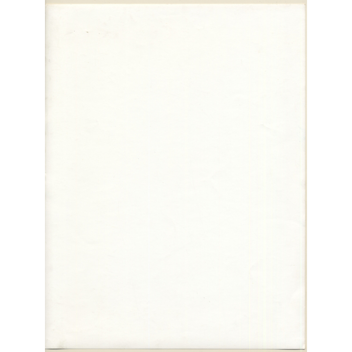 Erotic Study by Pjotr Van Moock: Beautiful Busty Nude Behind Lace Cloth (Vintage XL Photo 40 x 30 CM 1980s)