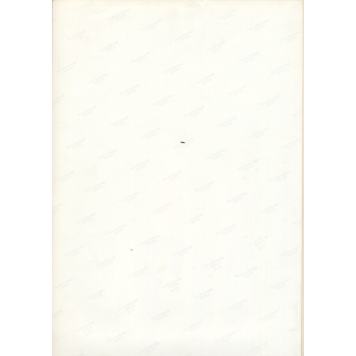 Erotic Study by Pjotr Van Moock: Blonde Nude & Green Mask Man / Experimental (Vintage XL Photo 45 x 30 CM 1980s)