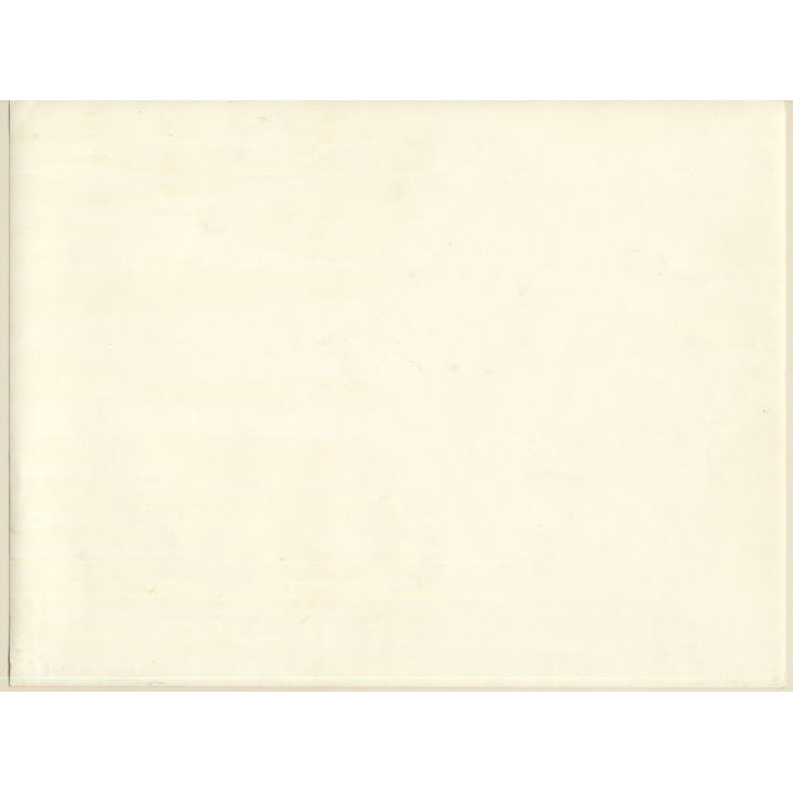 Erotic Study by Pjotr Van Moock: Brunette Nude Under Plastic Foil / Experimental (Vintage XL Photo 30 x 41 CM 1980s)